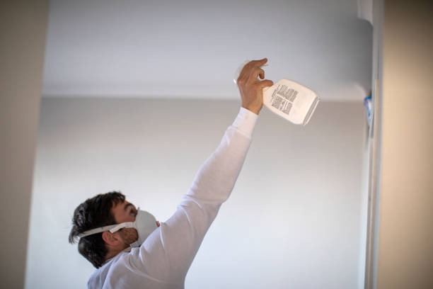 Best Same-Day Mold Removal  in Fort Bragg, CA