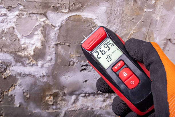Best Mold Removal Near Me  in Fort Bragg, CA