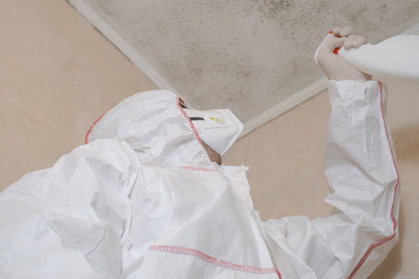 Best Mold Removal Company Near Me  in Fort Bragg, CA