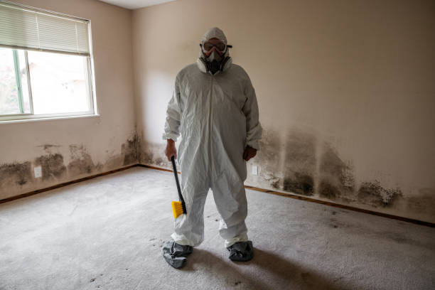 Best Affordable Mold Removal  in Fort Bragg, CA