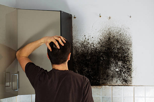 Best Residential Mold Removal  in Fort Bragg, CA